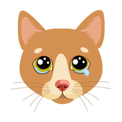 Sad Cat Face Head Vector Icon. Illustration Of Cute Sad Animal. Drear Crying Cat Vector. Crying Cat Emoji. When You Depressed. What Is Your Cat Saying When Making A Sad Face.