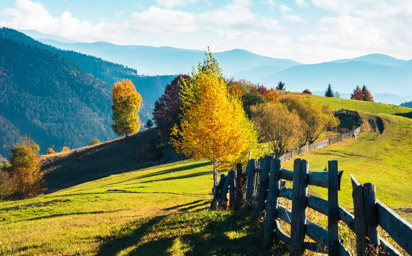 beautiful autumn countryside in mountains. wooden fence along the road through grassy hills. carpathian rural area. beautiful sunny weather