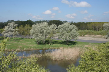 Fototapeta premium landscape with river and blue sky