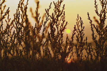 Obraz premium sunset in Berdyansk