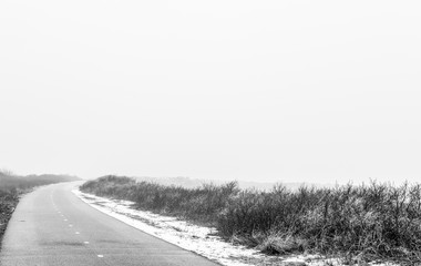 Road in fog