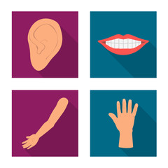 Fototapeta premium Vector illustration of body and part icon. Set of body and anatomy stock vector illustration.