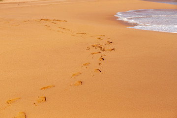 Relax time on sand beach and ocean