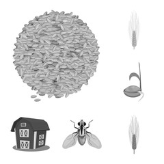 Isolated object of rye and plant  sign. Set of rye and corn vector icon for stock.