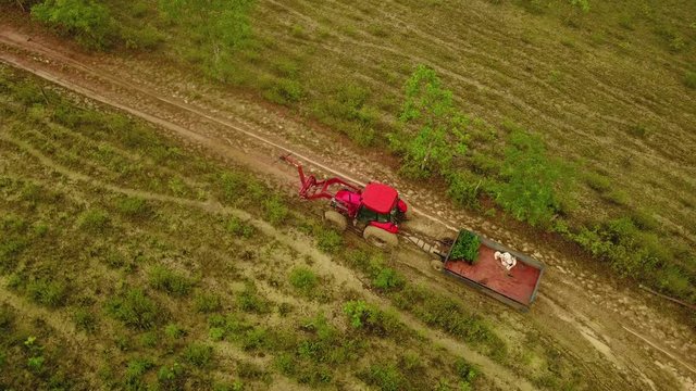 Orbital aerial shot of a tractor with a trailer at a side of a cultivated land, coyol palm plantation in Brazil