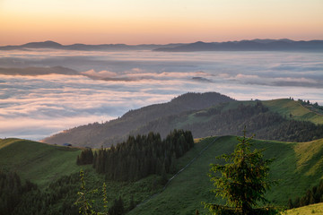 sunrise in the mountains, green mountains, fog over the mountains