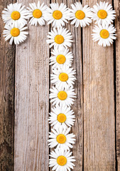 Obraz premium 8 March International Womens Day Background with spring flowers chamomile and inscription in russian letter 