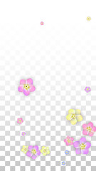 Colorful Vector Realistic Petals Falling on Transparent Background.  Spring Romantic Flowers Illustration. Flying Petals. Sakura Spa Design. Blossom Confetti. Design Elements for Wedding Decoration.