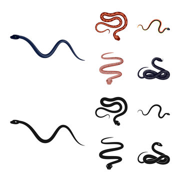 Vector design of mammal and danger icon. Set of mammal and medicine vector icon for stock.