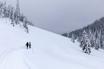 Fototapeta premium Tourists walking a snowy trail in the mountains