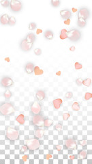 Vector Realistic Petals and Hearts Confetti. Flying Sakura and Hearts on Transparent Background. Wedding Invitation Background. Spring Romance Poster. Vector Illustration for Anniversary Design.