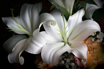 Bunch of flowers with lilies (lilium), roses and baby's breath, low light detail, romantic mood