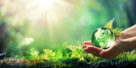 Tuinposter Hands Holding Globe Glass In Green Forest - Environment Concept © Romolo Tavani