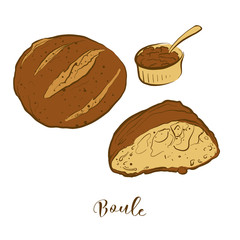 Colored sketches of Boule bread