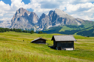 Fototapeta na wymiar Dolomites, Alpe di siusi, South Tyrol