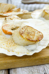 coquille saint-jacques