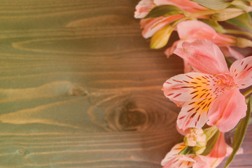 Spring background layout on a brown wooden background with nice 