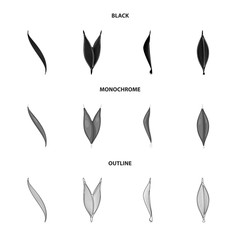 Isolated object of fiber and muscular sign. Collection of fiber and body  vector icon for stock.