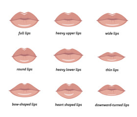 Various types of woman lips. Set of vector lips shapes. Set of illustrations with captions.