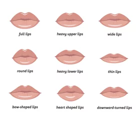Fotobehang Various types of woman lips. Set of vector lips shapes. Set of illustrations with captions. © Kharlamova