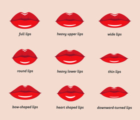 Various types of woman lips. Set of vector lips shapes. Set of illustrations with captions. - obrazy, fototapety, plakaty