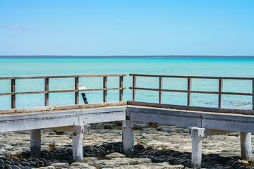 stromatolites at hamilon pool, western australia