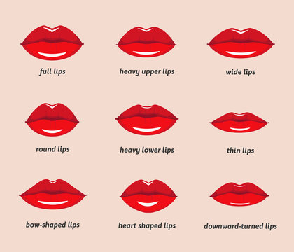 58 363 Best Lip Shape Images Stock Photos Vectors Adobe Stock 58 363 Best Lip Shape Images Stock Photos Vectors Adobe Stock