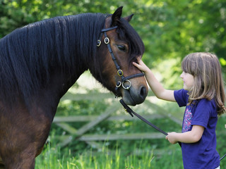 Girl and Pony