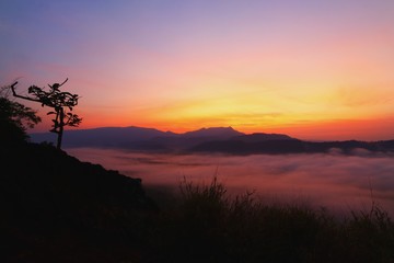 Dramatic sky before the sun rise and misty foreground the mountains landscape, Silhouette