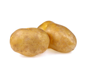 potato isolate on white background