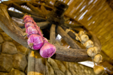 Bunch of onion hanging