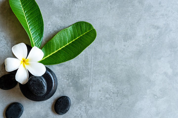Thai Spa.  Top view of white Plumeria flower setting for massage treatment and relax on concrete blackboard with copy space.  Green leaf with black stones pile for spa therapy.  Lifestyle Healthy
