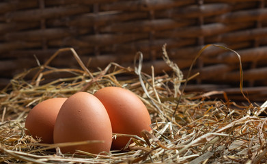 eggs on a straw bed