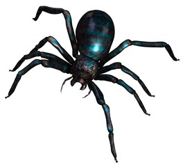 Spider 3d illustration isolated on the white background
