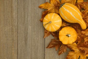 Autumn background with gourds and fall leaves on weathered wood