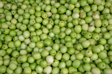 fresh milk jujub placed for sale  in the market .