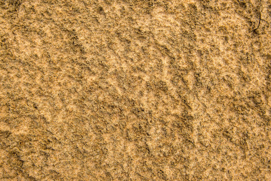 Sand of a beach, closeup of the crystals