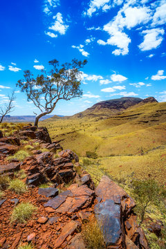 hiking on mount bruce in karijini national park, western australia 76