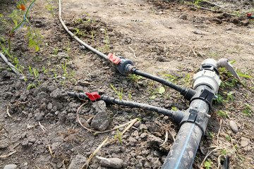 irrigation system