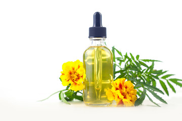 Obraz na płótnie Canvas marigold essential oil in beautiful bottle on White background