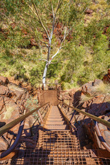 ladder to hancock gorge in karijini national park, western australia 2