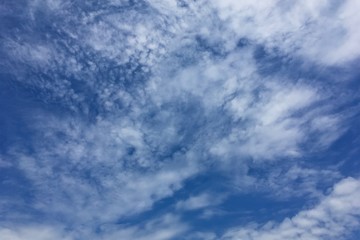 Clear blue sky with plain white cloud with space