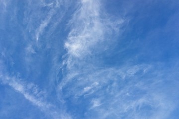 Clear blue sky with plain white cloud with space