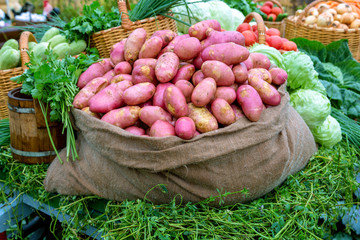 Young potatoes in a bag
