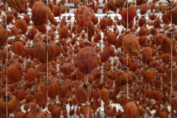 dalat natural dried persimmon made by japanese technique