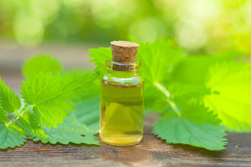 nettle essential oil in  beautiful bottle on table