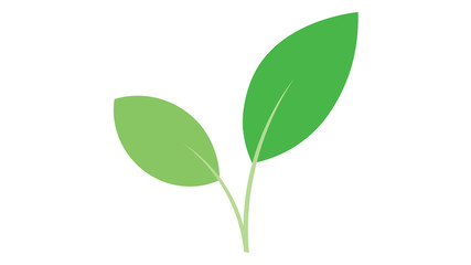 Leaf icon vector design. Leaf logo.