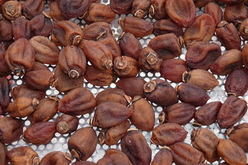 dalat natural dried persimmon made by japanese technique