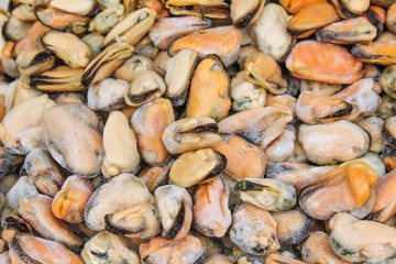 Colorful  pile of chilled raw perna viridis patterns texture for background