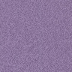Violet leather textured background surface. Vintage fashion background for designers and composing collages. Luxury textured genuine leather of high quality.